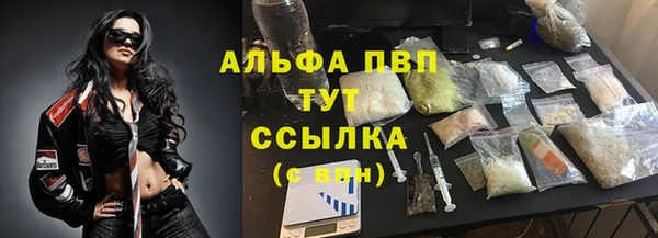 сатива Пересвет