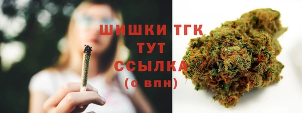 сатива Вязники