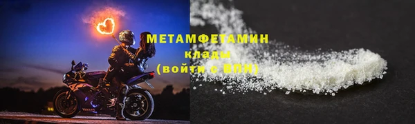 сатива Пересвет