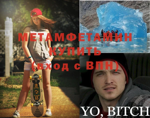 сатива Пересвет