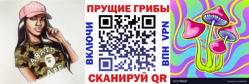 Псилоцибиновые грибы MAGIC MUSHROOMS  хочу наркоту  Ставрополь 