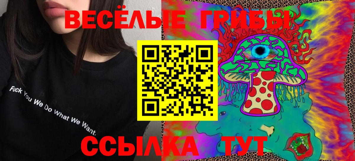 Ставрополь  Галлюциногенные грибы MAGIC MUSHROOMS  Вход с VPN 